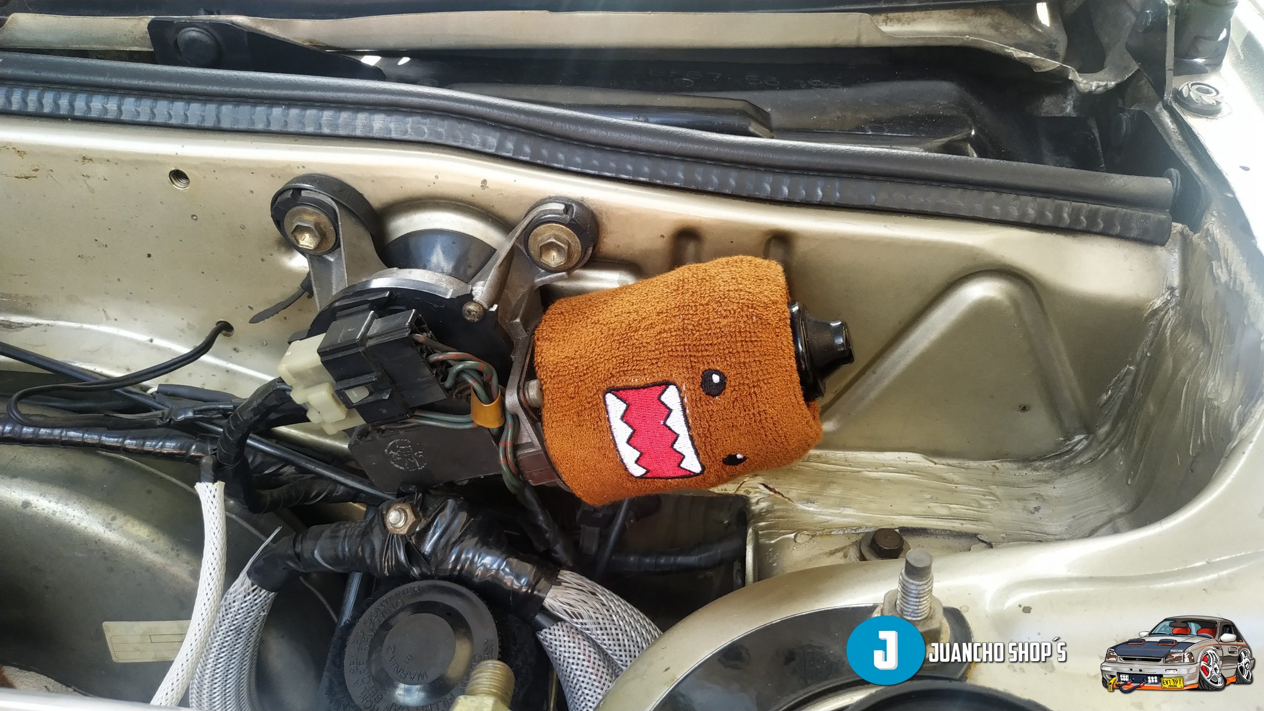 Escarpines_para_Carro