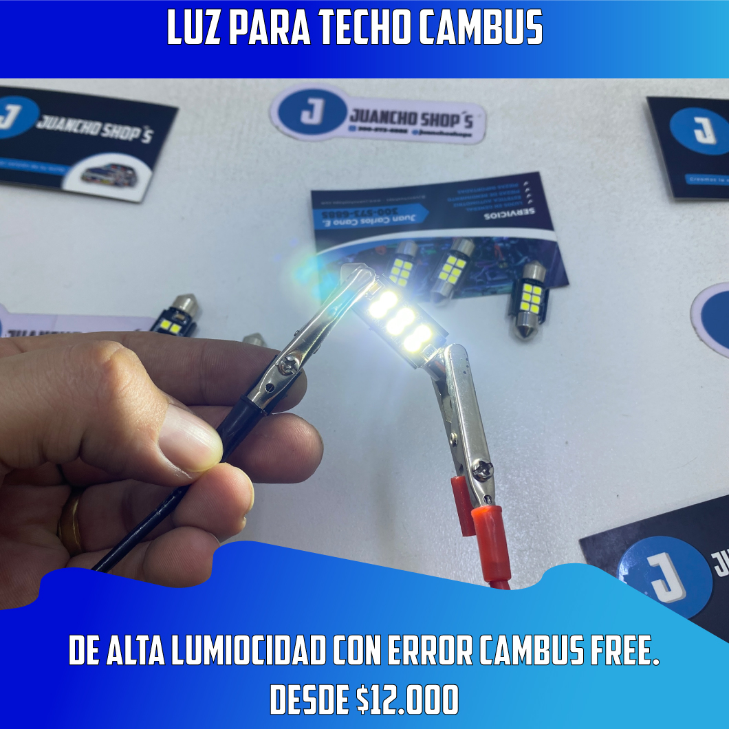 RF0314_LuzdeTecho